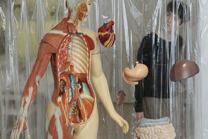 Două echipe de cercetători, din Statele Unite şi Japonia, au descoperit celulele stem pluripotente în 2006