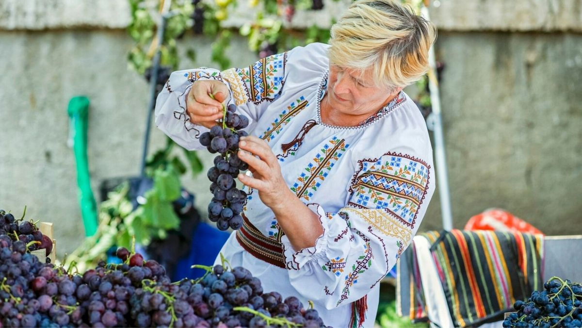 ФАО поддержит производителей столового винограда Республики Молдова.