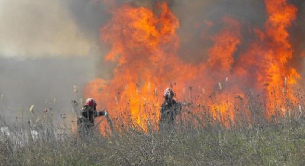 На Рышкановке вспыхнул пожар.