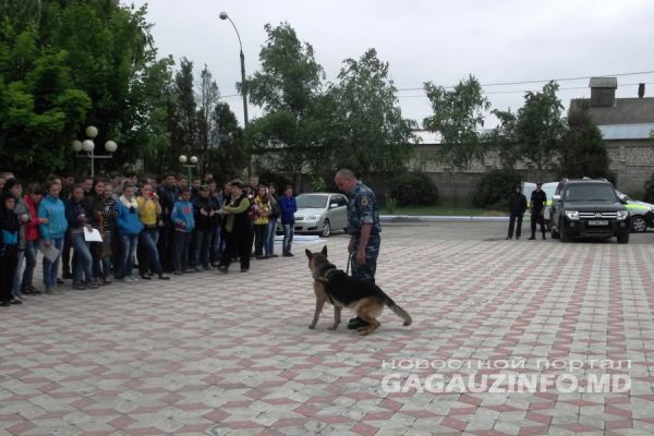 Инструкторы автошколы рассказали детям о правилах дорожного движения.