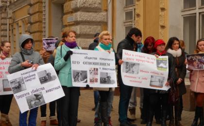Систематически в Кишинёве перед зданием примэрии проходят акции протеста под руководством организаций по защите прав животных.