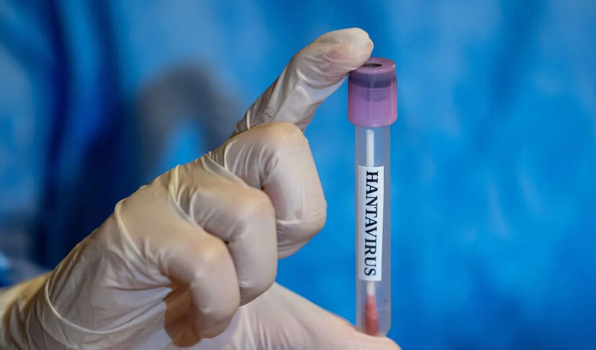 UE consideră că riscul de infectare cu hantavirus pentru populație este scăzut.
