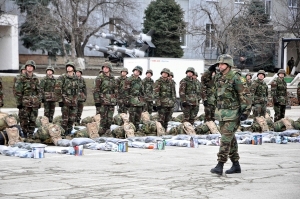 Armata Națională participă la aplicațiile din Germania începând cu anul 2012.