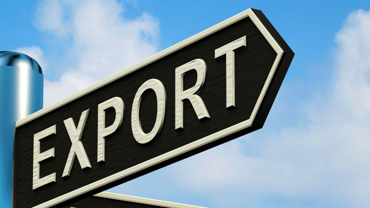 Exportul de produse agricole a crescut în 2024.