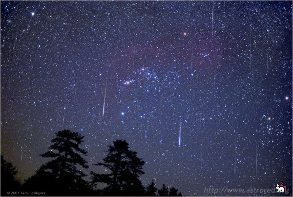 Впервые метеорный поток Геминиды открыли в 1862 году. Фото: astrored.org