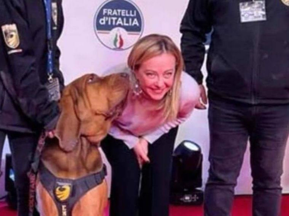 Uciderea brutală a unui celebru câine de serviciu a provocat o rezonanță în Italia.