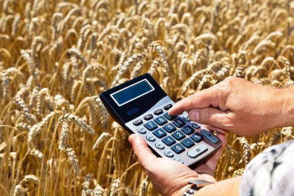 IFAD предлагает фермерам Молдовы гранты до $200 тысяч на развитие инфраструктуры.