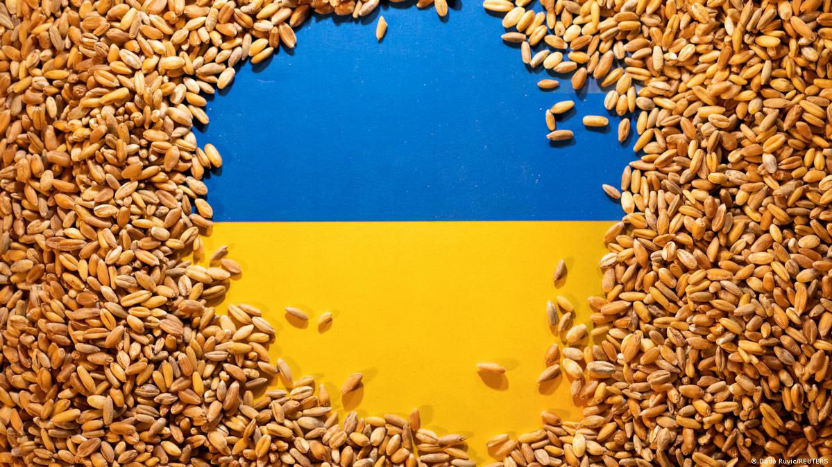 Большие объемы украинского зерна вытесняют с рынка местных производителей.