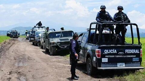В Мексике обнаружили тела 4 полицейских, похищенных ранее.