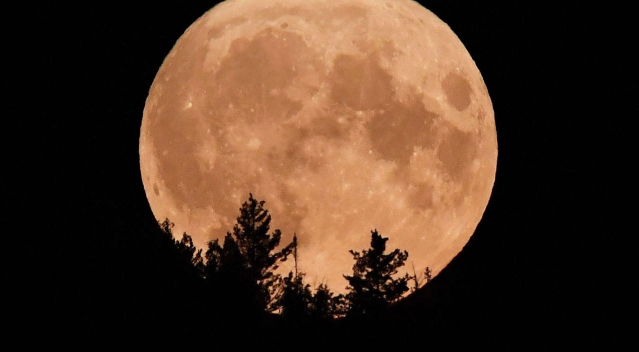 În seara zilei de 5 noiembrie, locuitorii Pământului vor putea vedea Luna Vânătorului.
