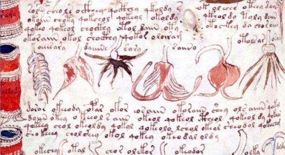 Un computer a descifrat cel mai misterios manuscris din lume