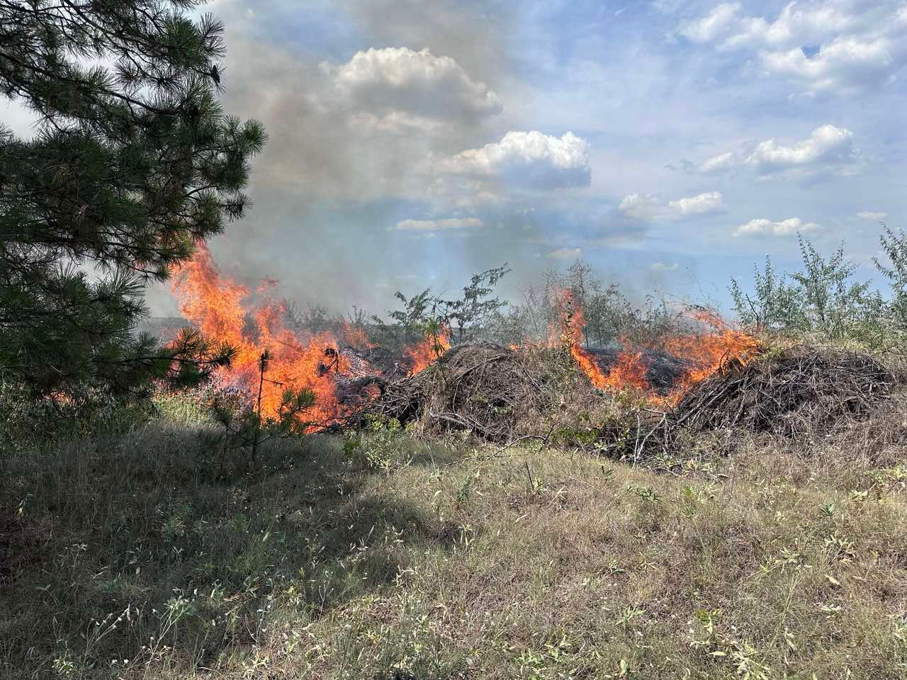 Trei persoane au avut de suferit în urma incendiilor din ultimele 24 ore.