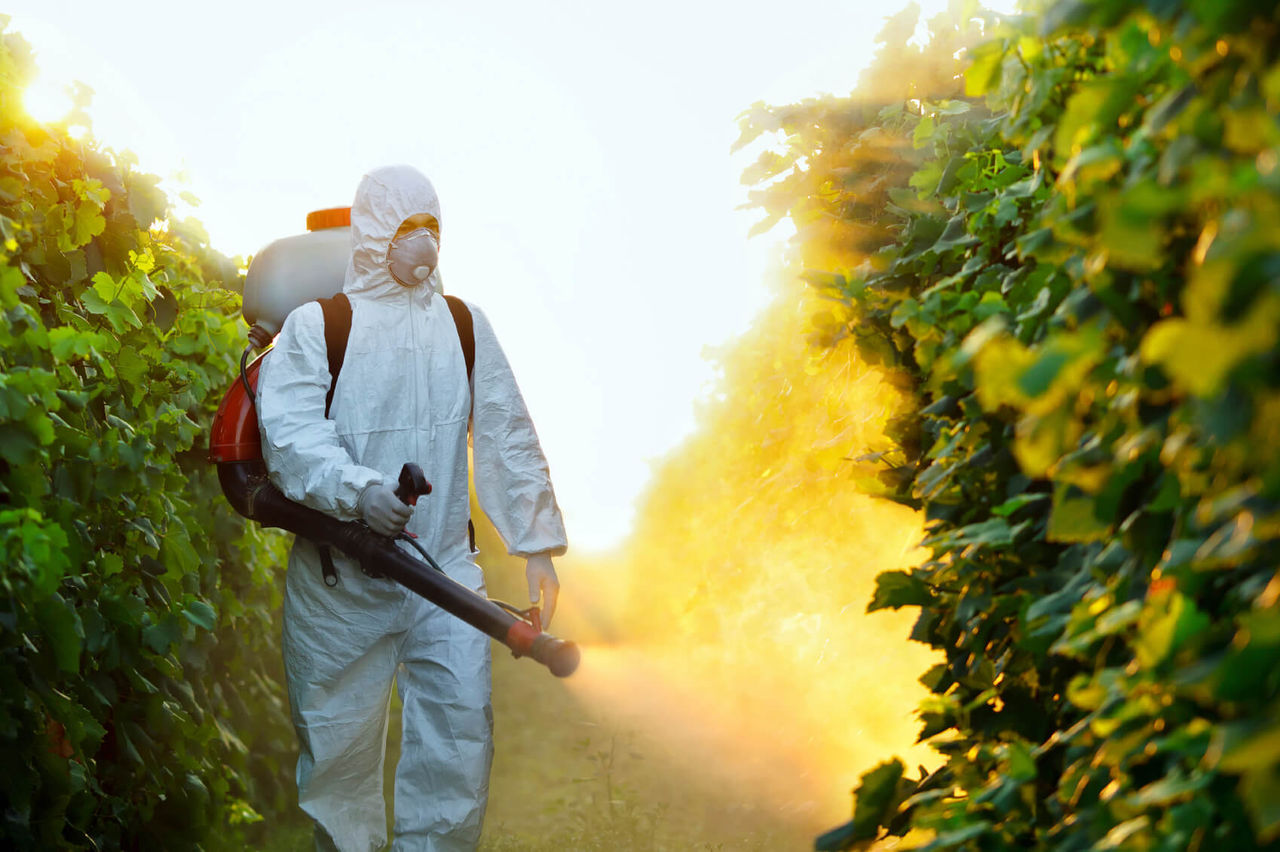ANSA atenţionează despre riscul pesticidelor contrafăcute din comerţ.