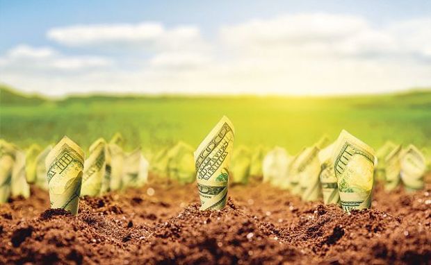 Investițiile masive în agricultură nu dau roade. Foto: capital.ro