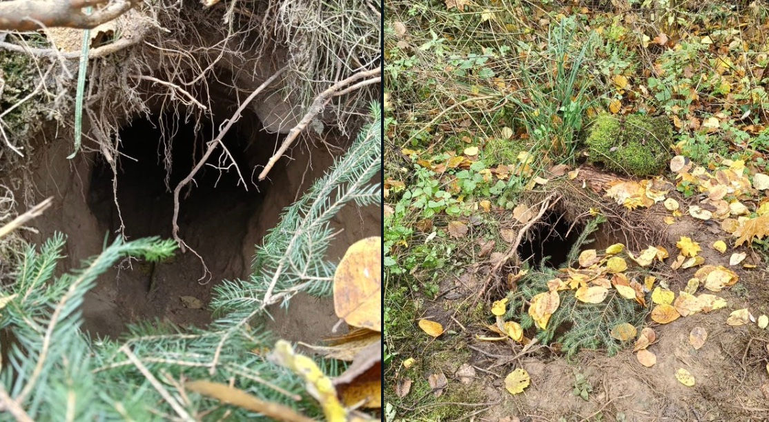 Grănicerii polonezi au descoperit un tunel sub gardul de la granița cu Belarus.