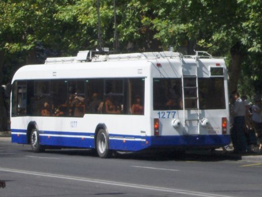 Potrivit şefului de la Spaţii Verzi, Eliferii Haruţa, vântul a doborât arbori pe 7 străzi din capitală.