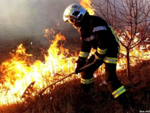 Детали пожара в Унгенах: огонь уничтожил 100 га сухой травы