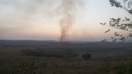 Un incendiu puternic de vegetaţie a curprins dealul de la Dănceni.