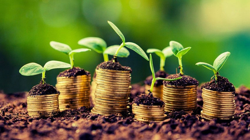 В апреле AIPA выделило аграриям свыше 84 млн леев.