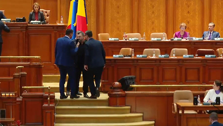 В парламенте Румынии едва не подрались депутат и госсекретарь.