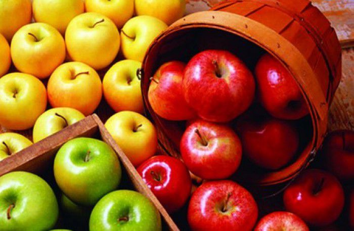 Cum sunt exportate fructele din Moldova, fără embargoul rusesc. Foto: basarabia.md