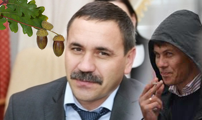 Tot ce vrem noi e să trăim o viață liniștită cu cei dragi.