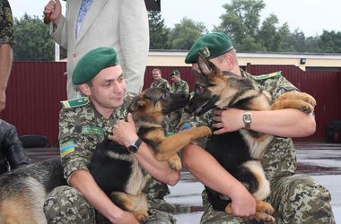 Украинцы передают овчарок для охраны кордонов и службы в зоне боевых действий.