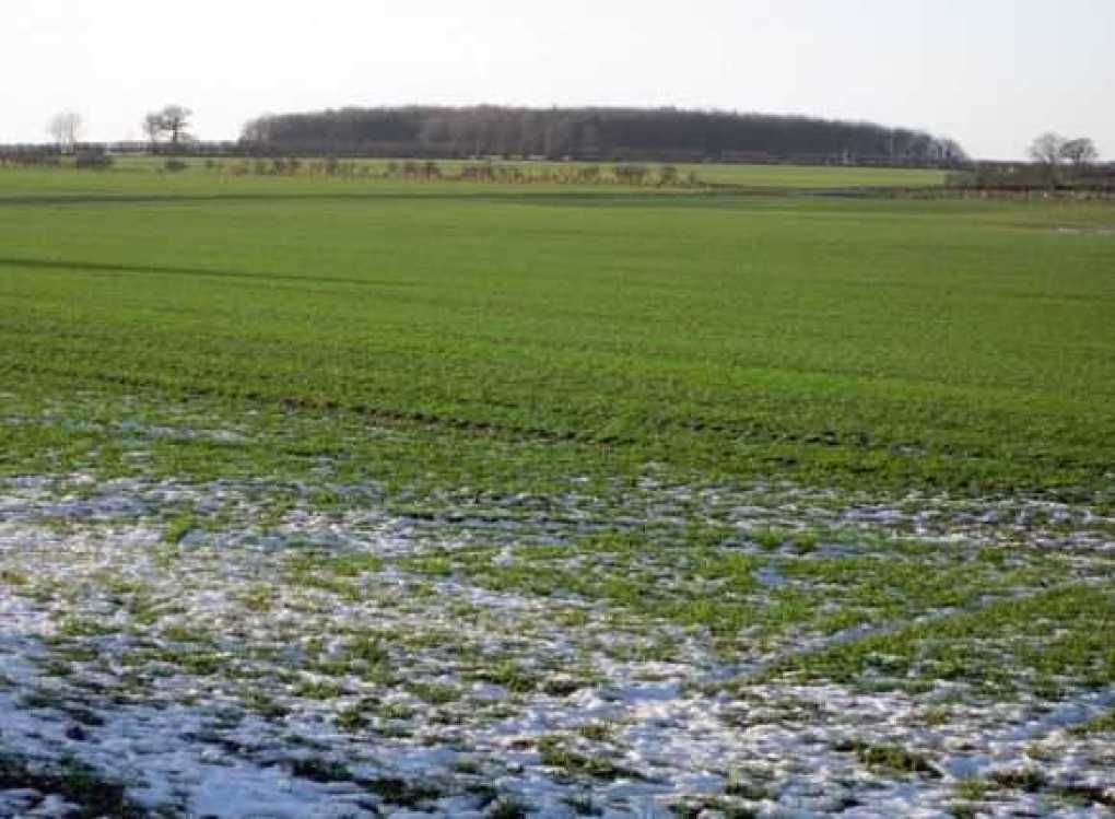 Linia fierbinte este una din actiunile MAIA. Foto:cuvan