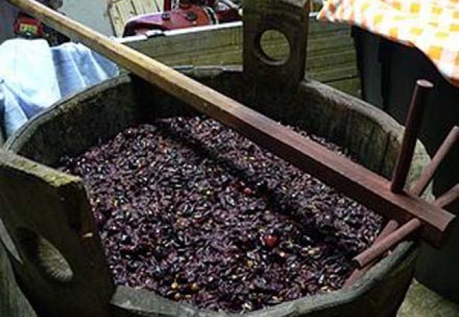 На место происшествия прибыли пожарные, которые вошли в погреб и вынесли из него пенсионерку. 