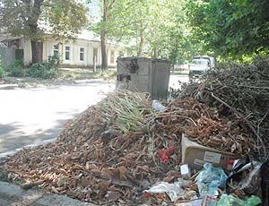 Бендерчане вынуждены ходить по улицам города, утопающего в собственных отходах. 