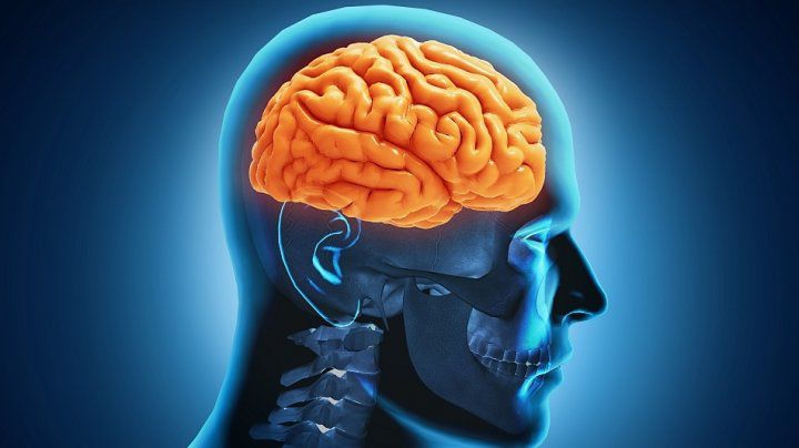 Alimentele care mențin creierul tânăr. Ce să consumi ca să îți protejezi memoria
