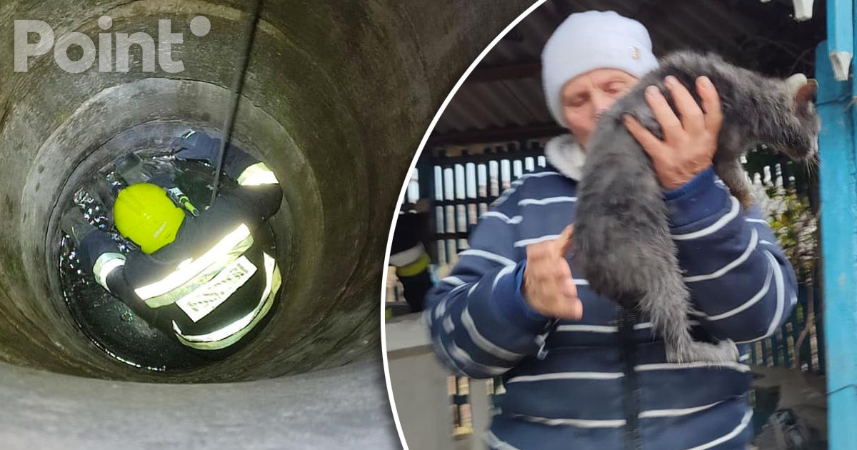 Спасатели вытащили кошку из 8-метрового колодца.