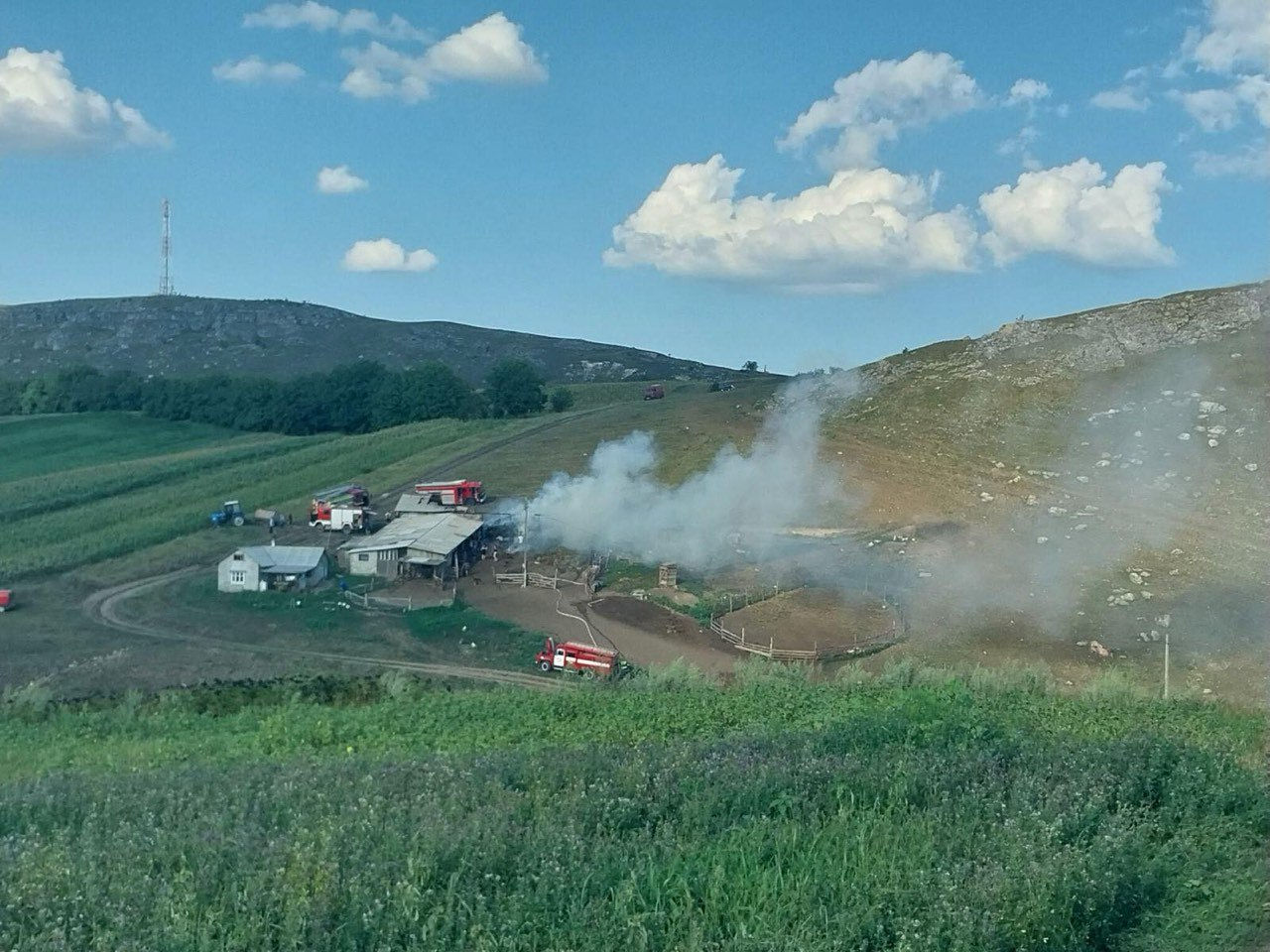 Incendiu la o stână din raionul Briceni: Sute de animale au fost salvate.