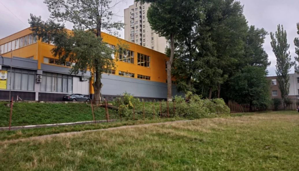 На спортплощадку одного из столичных лицеев упало дерево.