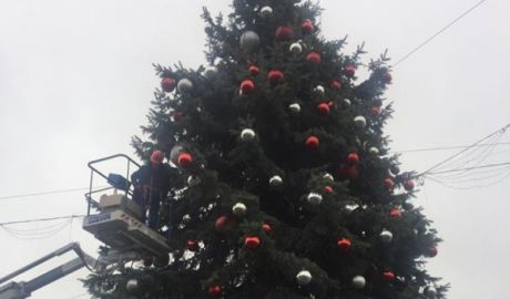Pomul de Crăciun este scos astăzi din PMAN.