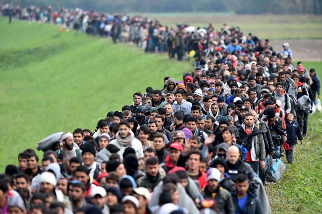 Число мигрантов в мире за последние девять лет выросло на 51 миллион