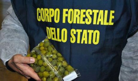 Interpol a confiscat o cantitate record de alimente periculoase pentru sănătate. Foto: interpol.int