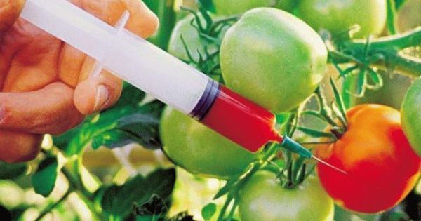 Rafturi dedicate exclusiv produselor modificate genetic în magazine