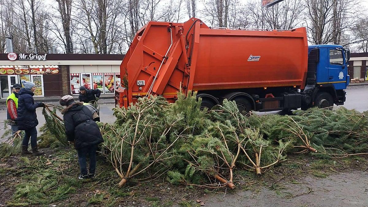 В Одессе продавцы облили соляркой тысячи хвойных деревьев, непроданных до Нового года.