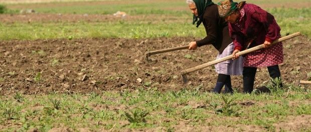 Mii de proprietari vor fi expropriați de terenurile pe care le dețin