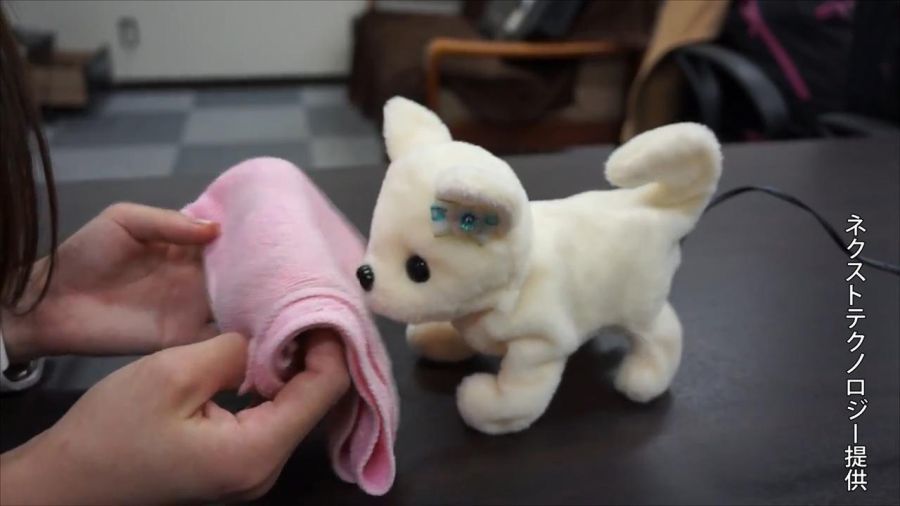 Japonezii au creat un câine-robot care poate detecta mirosul picioarelor. 