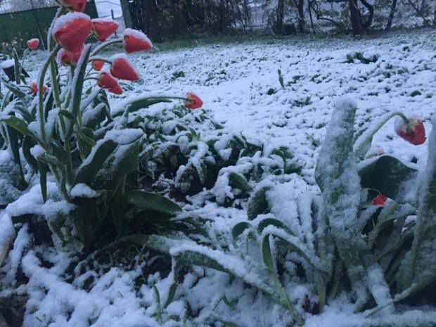 Nu uităm să scoatem hainele de iarnă. Foto:reealitatea.md