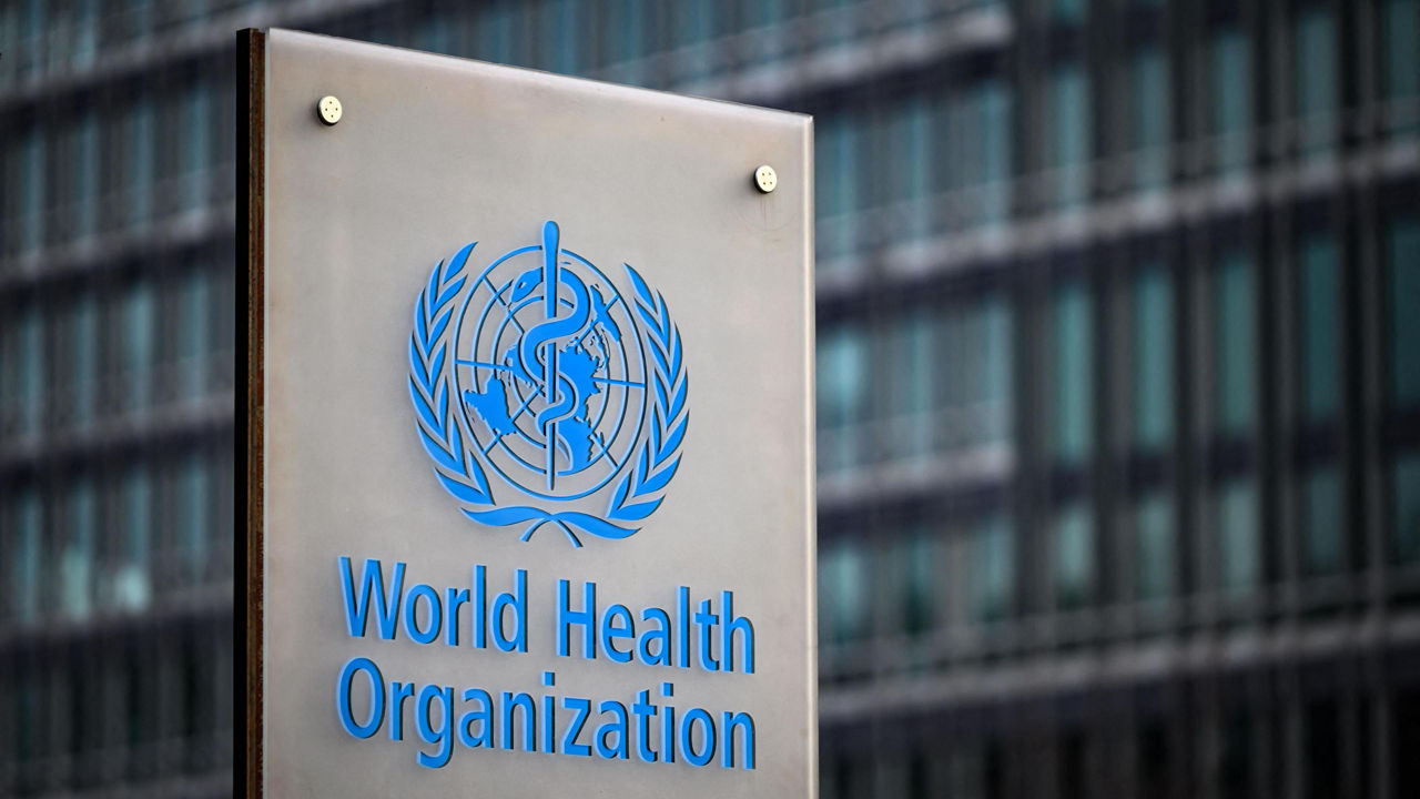 OMS ia în considerare utilizarea vaccinurilor experimentale împotriva Ebola.