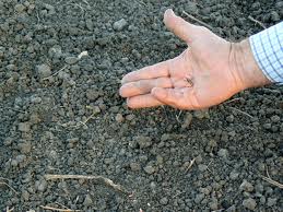 Evaluarea va fi realizată de experţi internaţionali, printre care specialişti UNDP şi FAO. Foto: voceabasarabiei.net