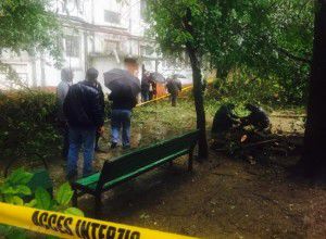 По делу гибели женщины от падения дерева задержан чиновник.