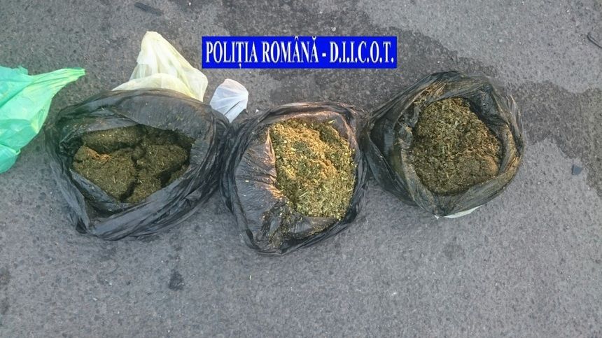 Наркотики злоумышленники пытались доставить в Голландию.