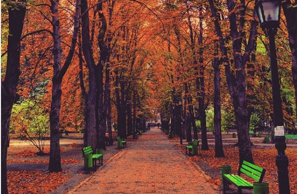 Ultima zi din săptămână în care se înregistrează -5 grade Celsius. 