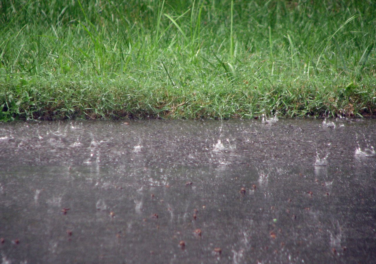 Cei care vor ieşi astăzi la iarbă verde ar putea avea o surpriză neplăcută.