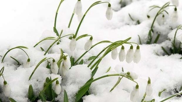 Ger de crapă pietrela în prima zi de primăvară. Temperaturi înregistrate. Foto: Romania TV