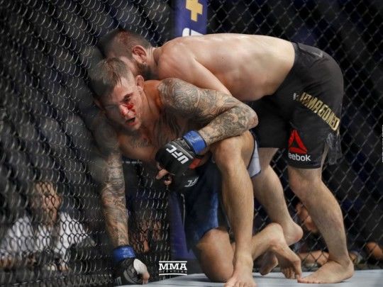 Чемпион UFC в легком весе Хабиб Нурмагомедов.